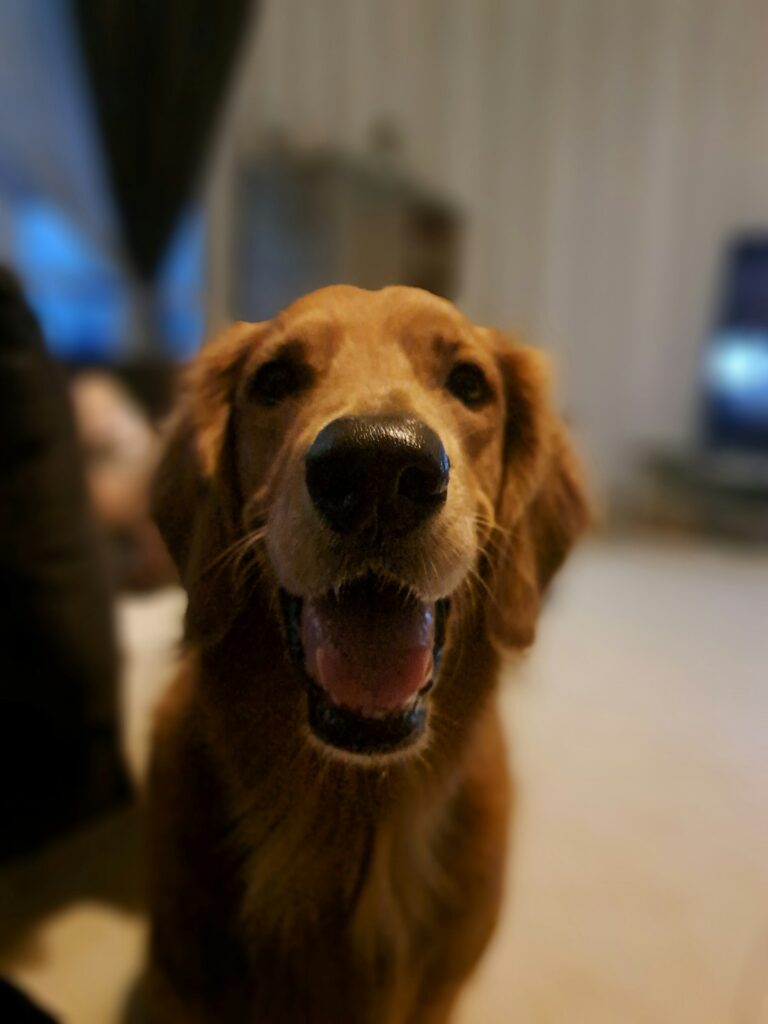 Luna
